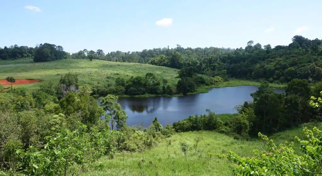 Khao Yai national Park