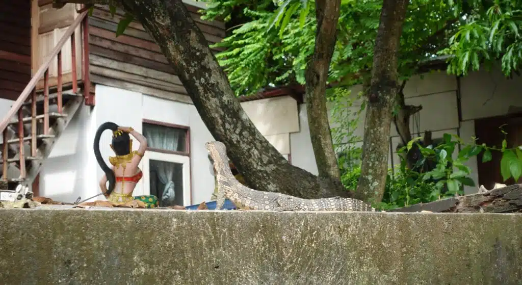 Paddles and Pastimes- Kayak Through Old Bangkok