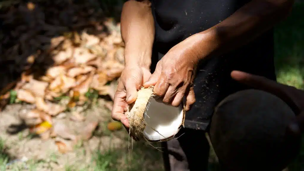 Samui Local Life Botanical Bliss and Coconut Conservation