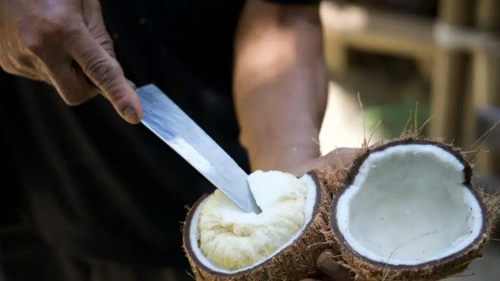 Samui Local Life Botanical Bliss and Coconut Conservation